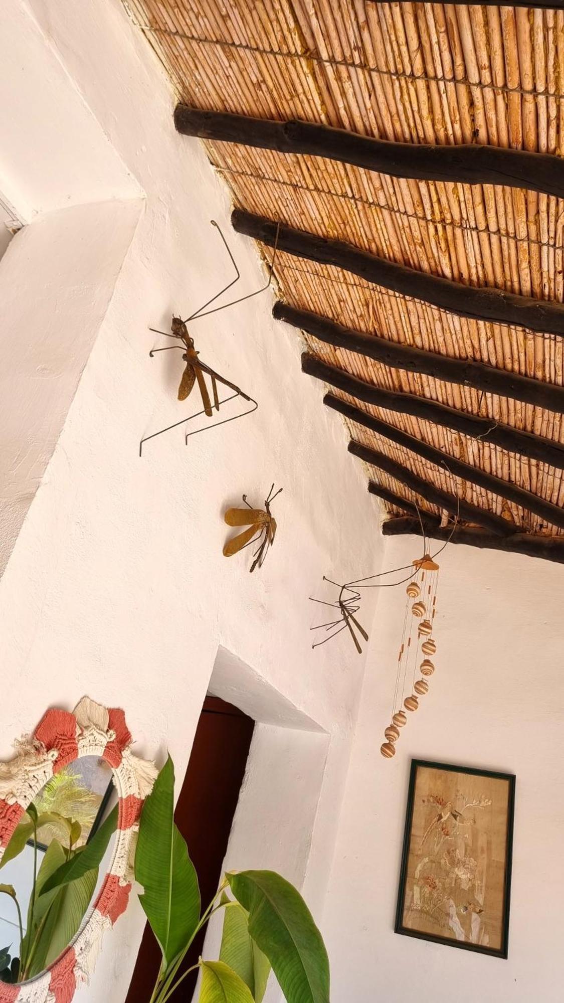 La Casona Espacio Bonito Zapatoca Eksteriør bilde